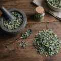 Rue – Herbe rituelle - protection & bannissement 15g - Enchantement et Sortilèges